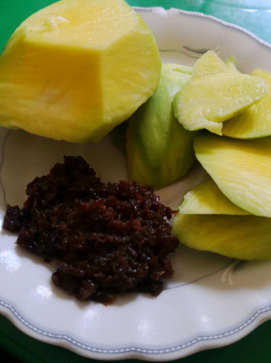 Homemade Bagoong Alamang (Filipino Shrimp Paste)