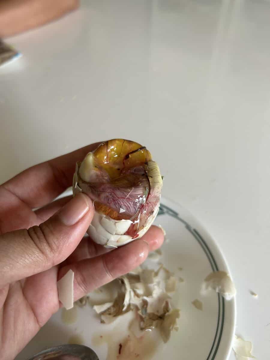 Balut (16 Days) - Traditional Filipino Street Food