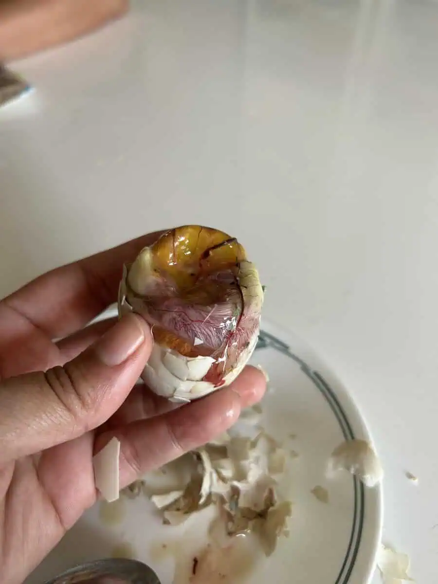 Balut (16 Days) - Traditional Filipino Street Food